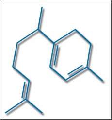 γ-Curcumene molecule: a sesquiterpene found in helichrysum oil.